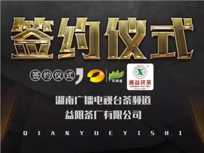 湘益茯，美茗揚(yáng) 丨湘益茯茶與茶頻道達(dá)成長期戰(zhàn)略合作
