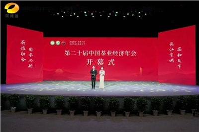 【聚焦第二十屆中國茶業(yè)經(jīng)濟年會】益陽茶廠榮獲“民族團結(jié)互助企業(yè)”、“2024年度茶業(yè)重點企業(yè)”榮譽稱號